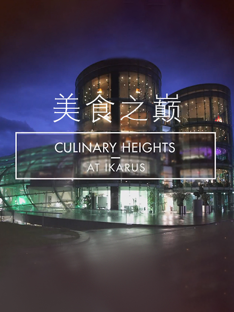 美食之巅9