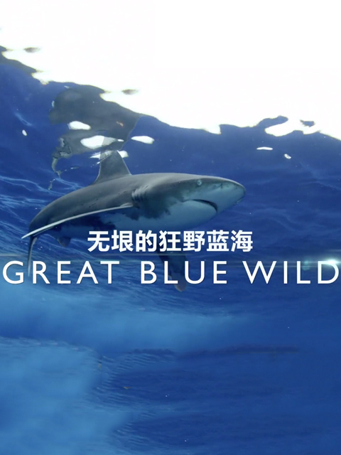 无垠的狂野蓝海3