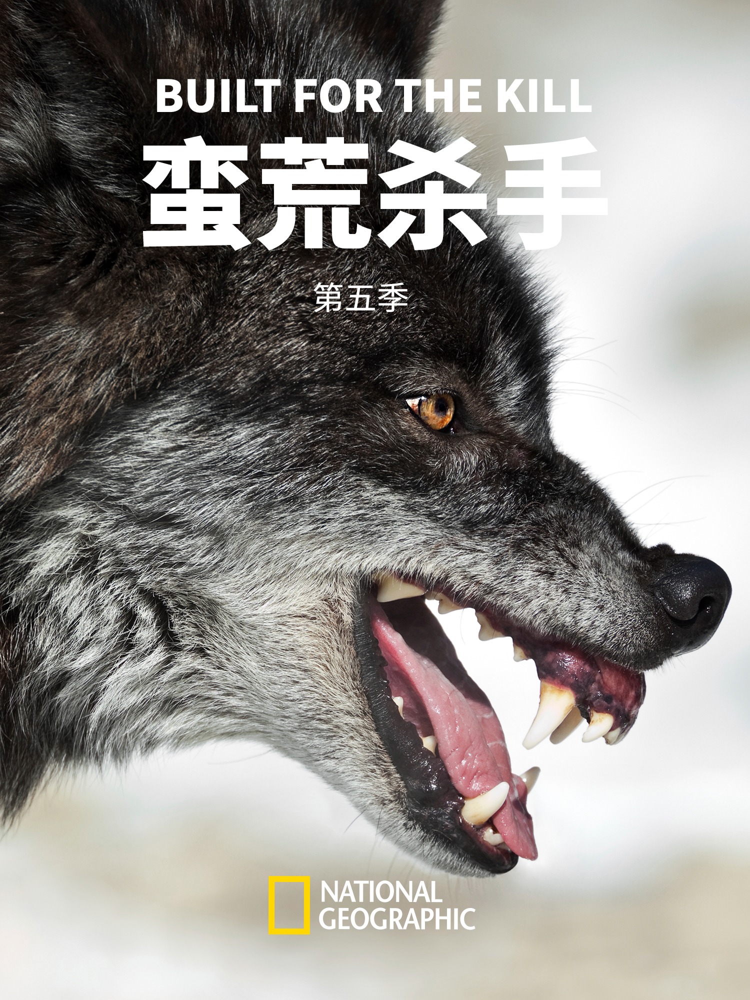 蛮荒杀手5