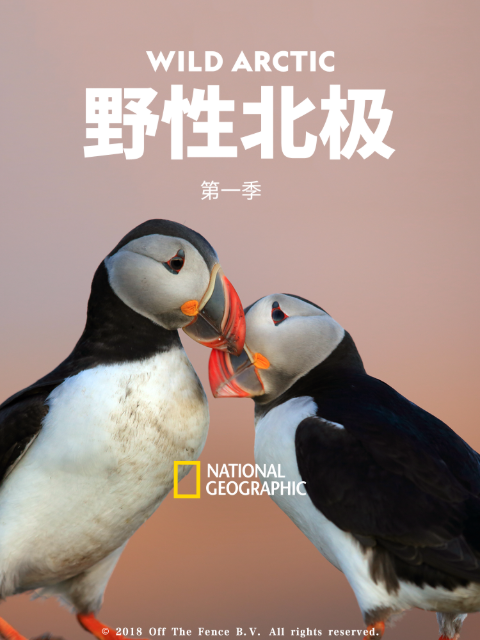野性北极1