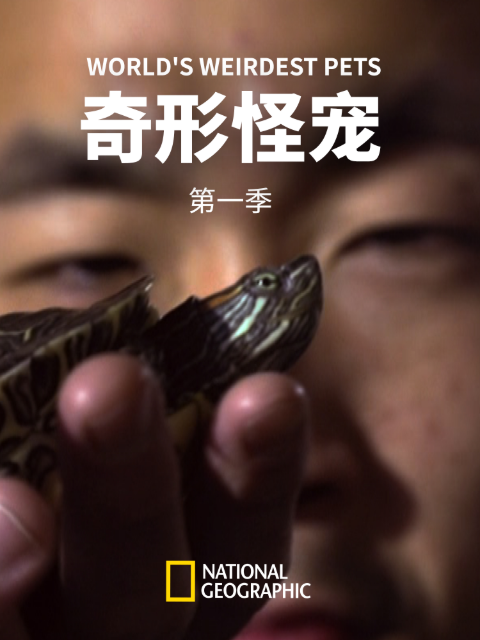 奇形怪宠1