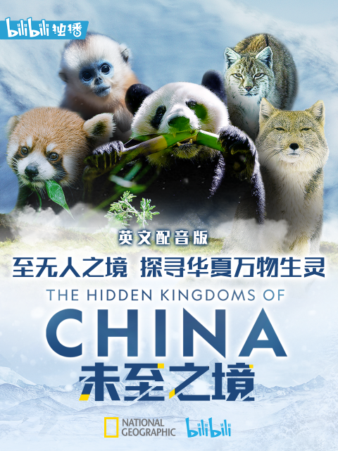 未至之境 英配版