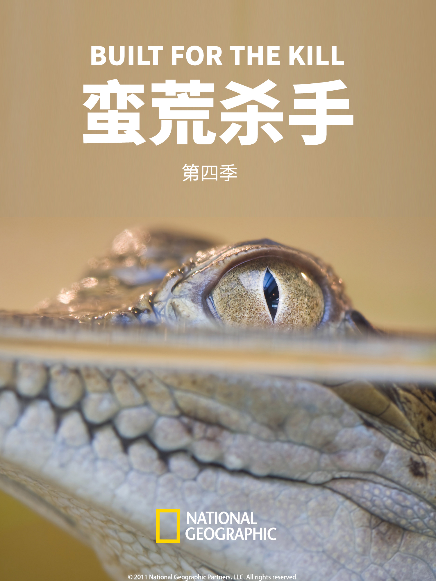 蛮荒杀手4