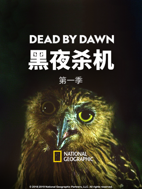 黑夜杀机1
