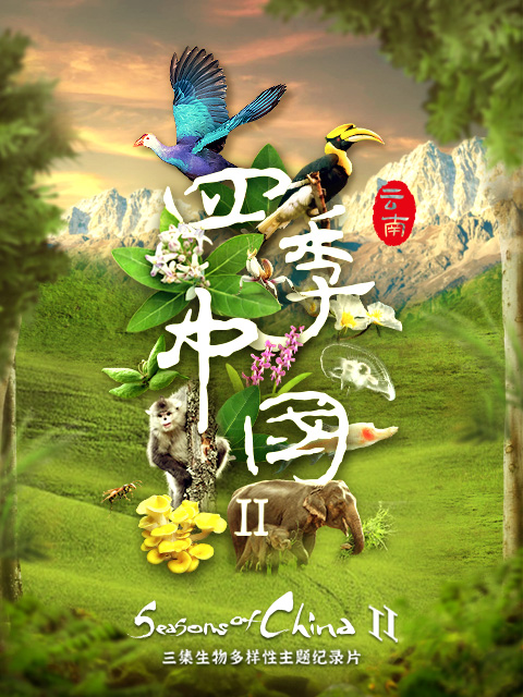 四季中国2 云南篇