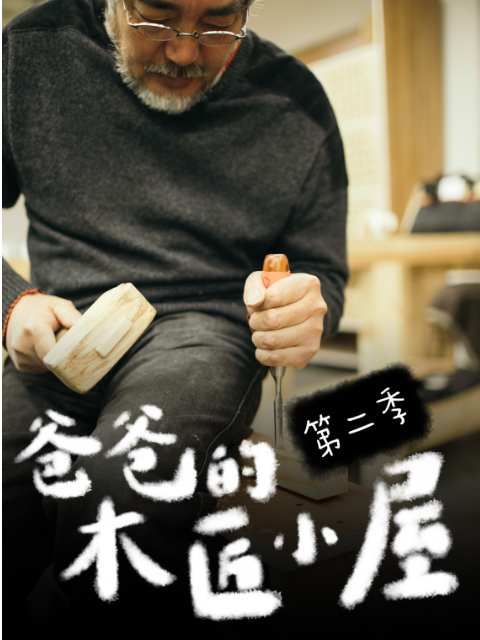 爸爸的木匠小屋2