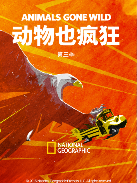 动物也疯狂3