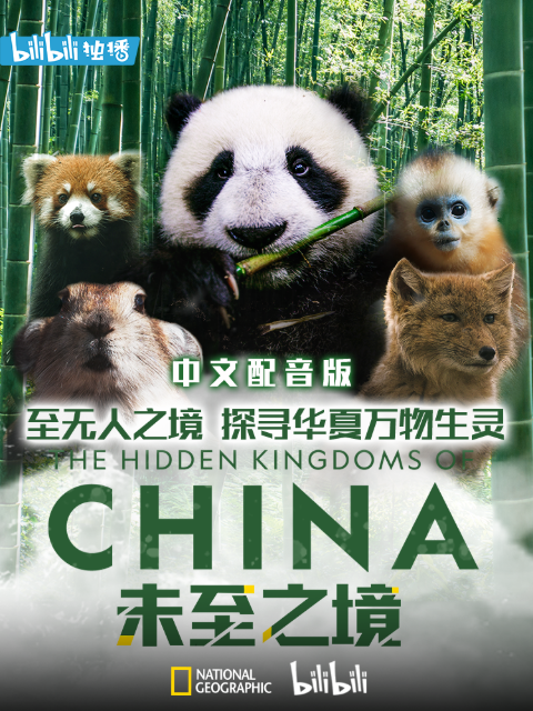 未至之境 中配版