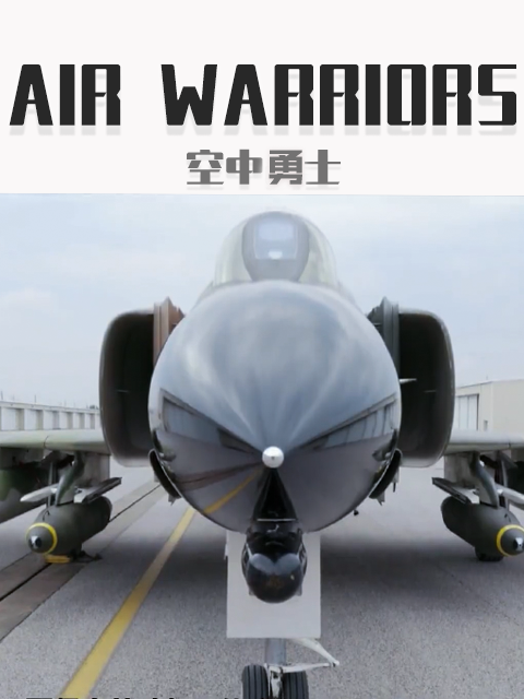 空中勇士6