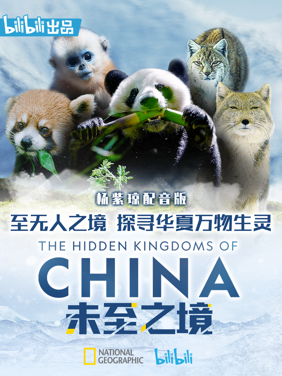 未至之境 杨紫琼配音版