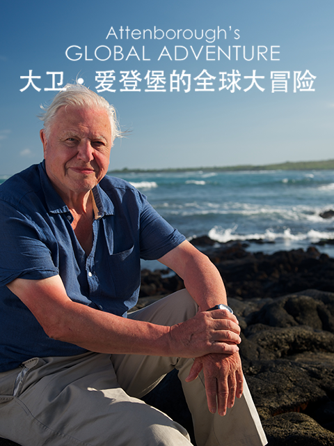 大卫爱登堡的全球大冒险
