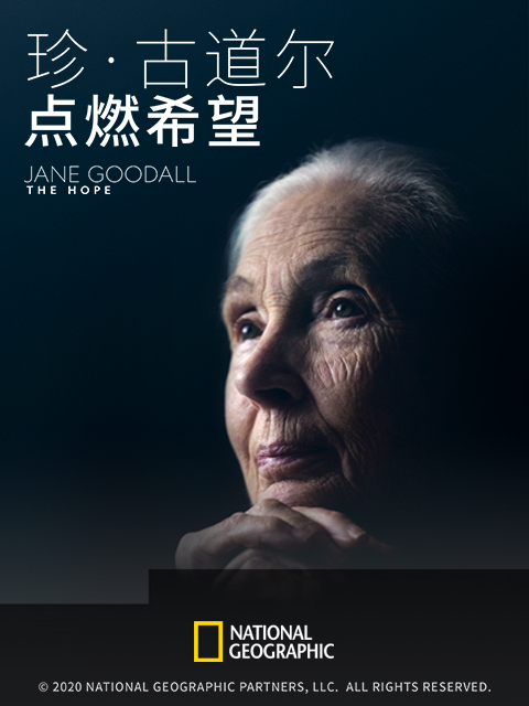 珍古道尔：点燃希望 英配版