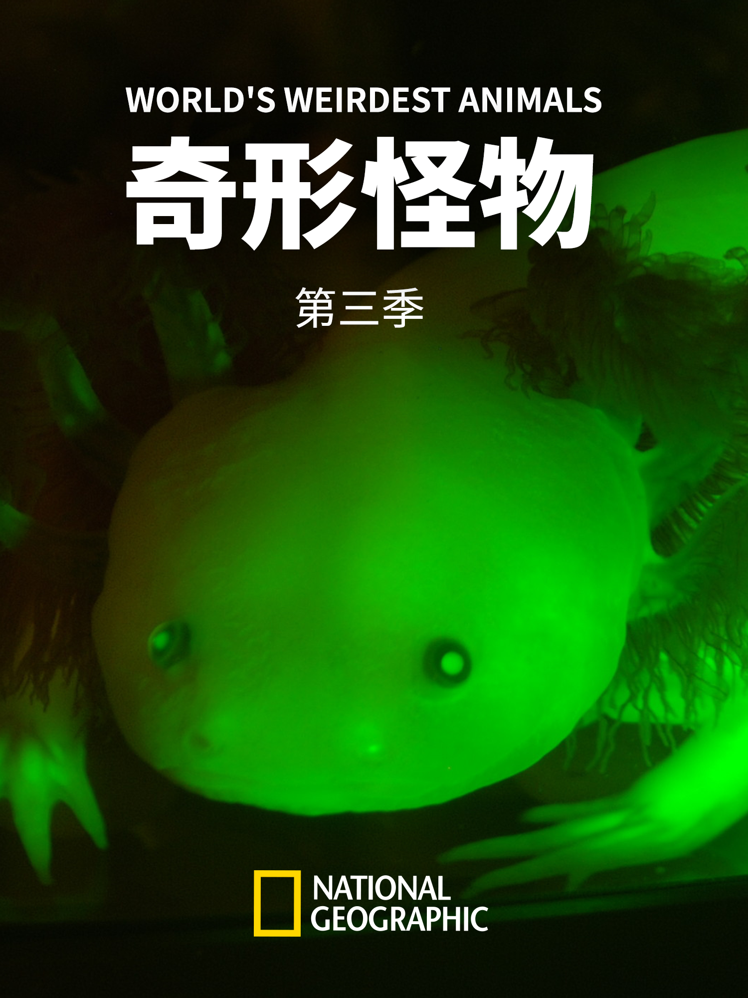 奇形怪物3