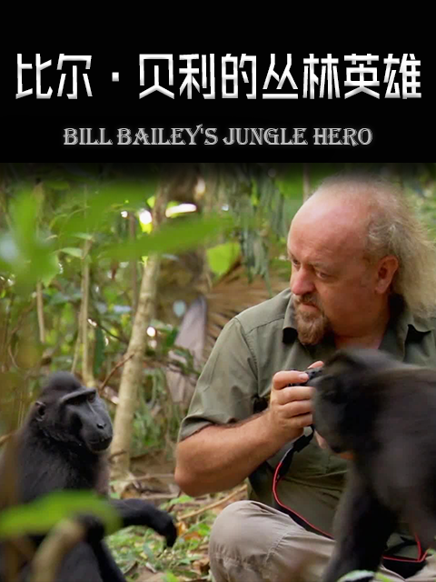 比尔贝利的丛林英雄