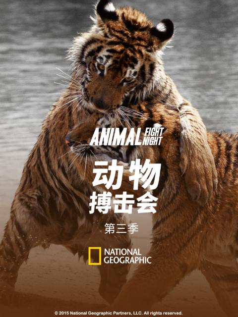 动物搏击会3