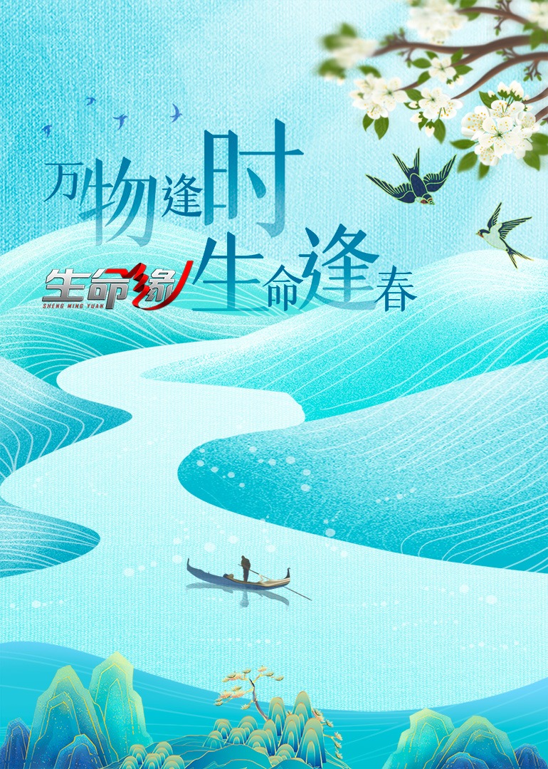 生命缘14