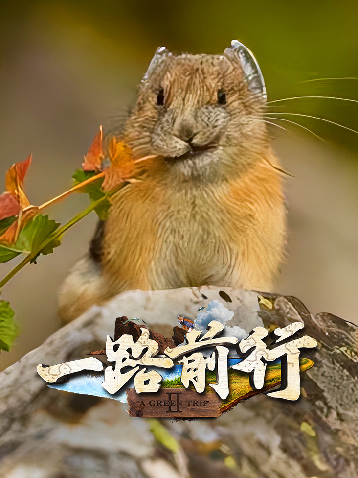 一路前行2