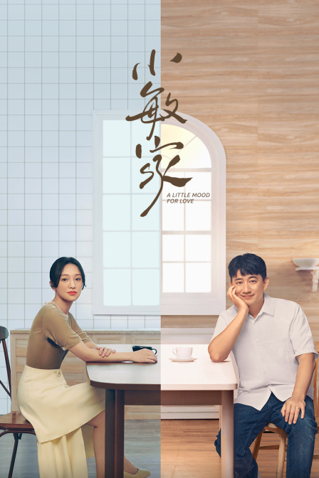 小敏家DVD