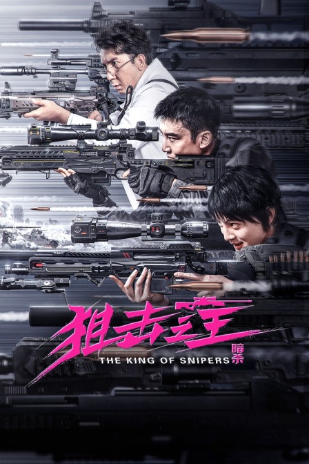 狙击之王:暗杀简体版