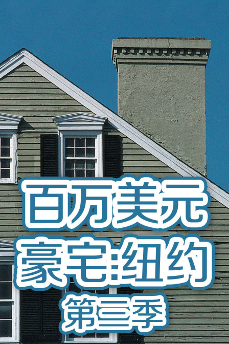 百万美元豪宅:纽约3