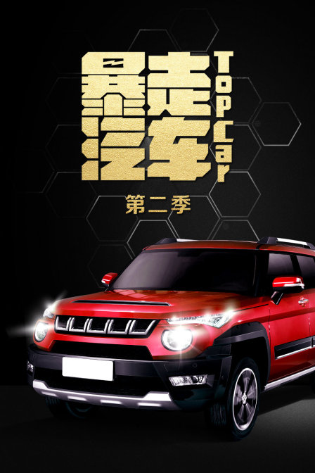 暴走汽车2