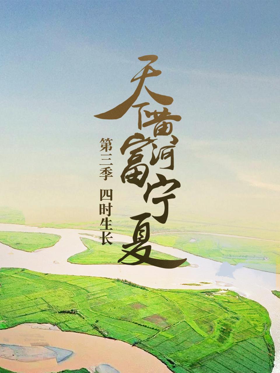 天下黄河富宁夏3四时生长
