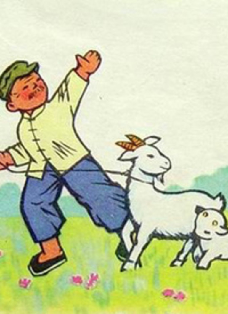 山羊回了家