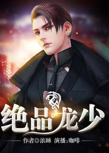 绝品龙少 有声书