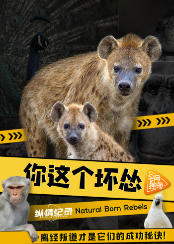 你这个坏怂国语版