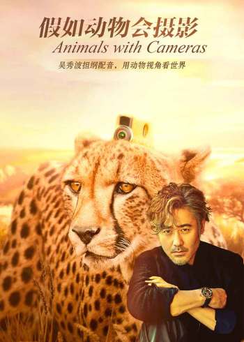 假如动物会摄影国语版