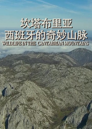 坎塔布里亚：西班牙的奇妙山脉