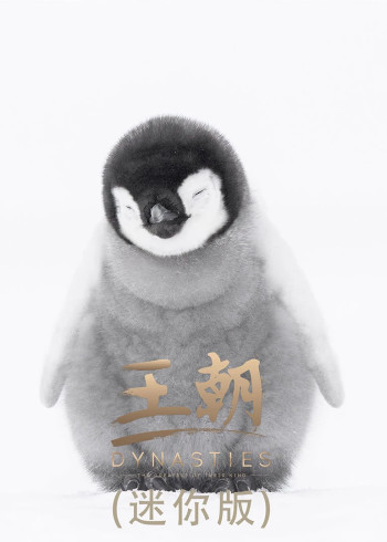王朝迷你版国语版
