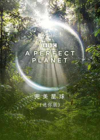完美星球 迷你版