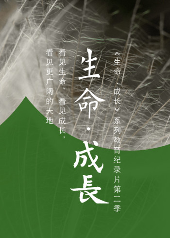 生命成长2