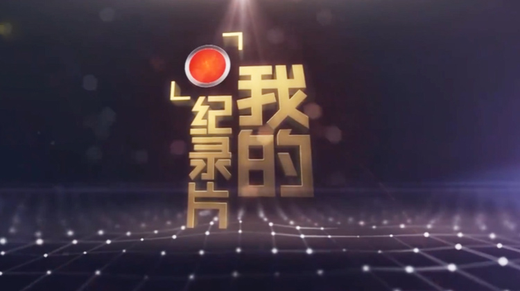 我的纪录片2015