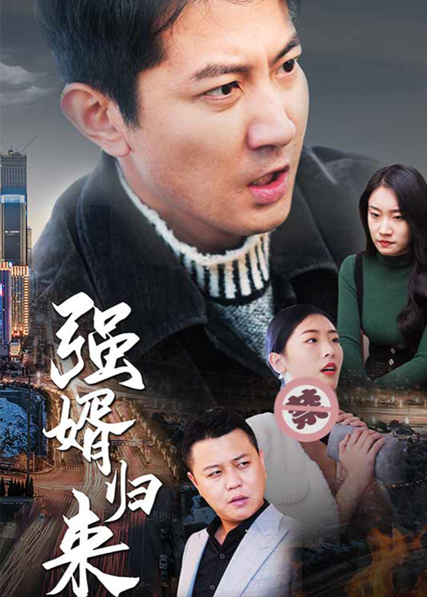 强婿归来