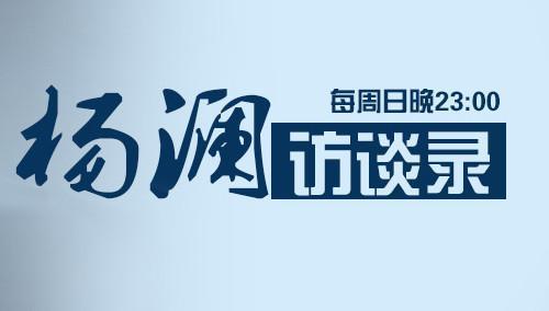 杨澜访谈录2015