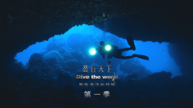 潜行天下1