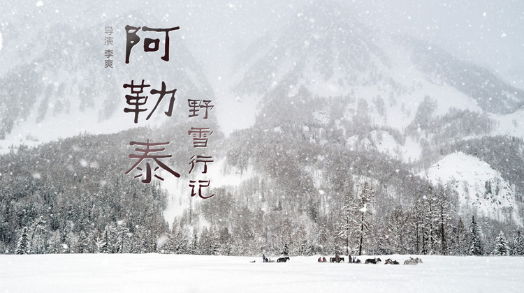 阿勒泰野雪行记