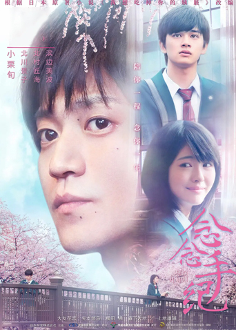 念念手纪国语版