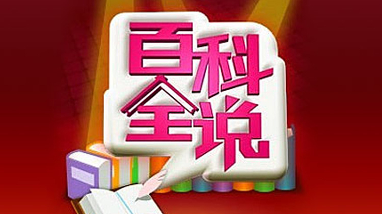 百科全说2