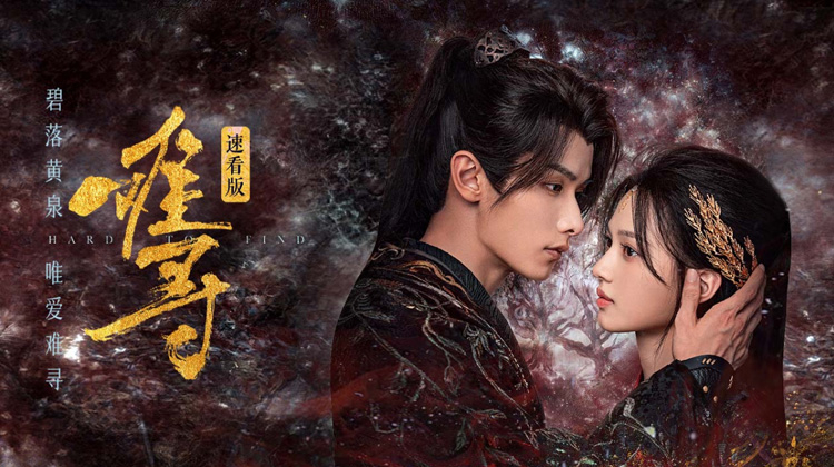 难寻速看版