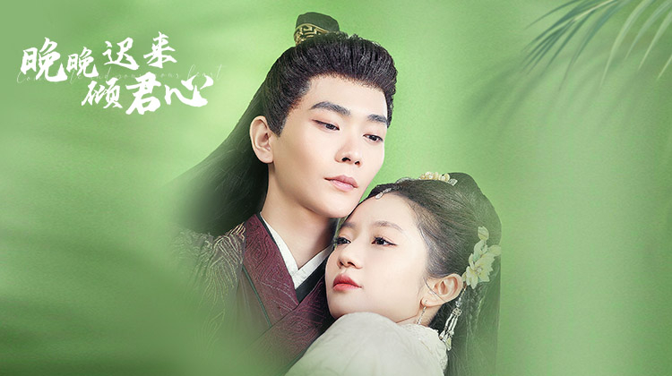 晚晚迟来倾君心