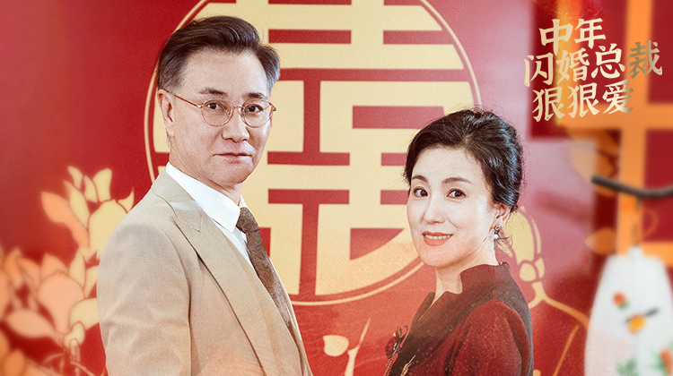 中年闪婚总裁狠狠爱