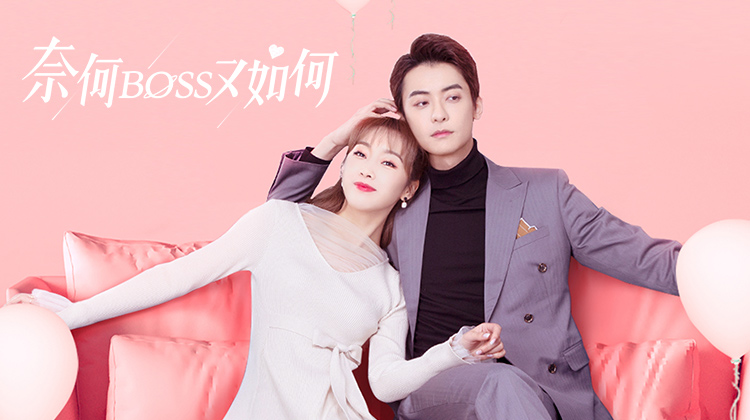 奈何BOSS又如何