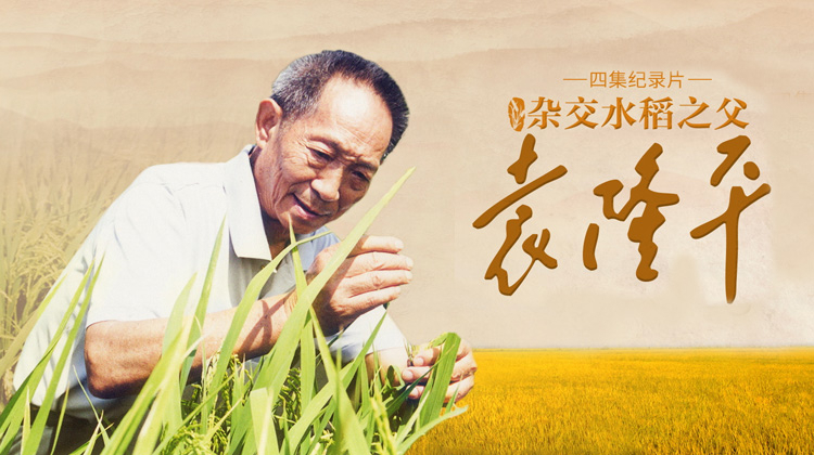杂交水稻之父袁隆平