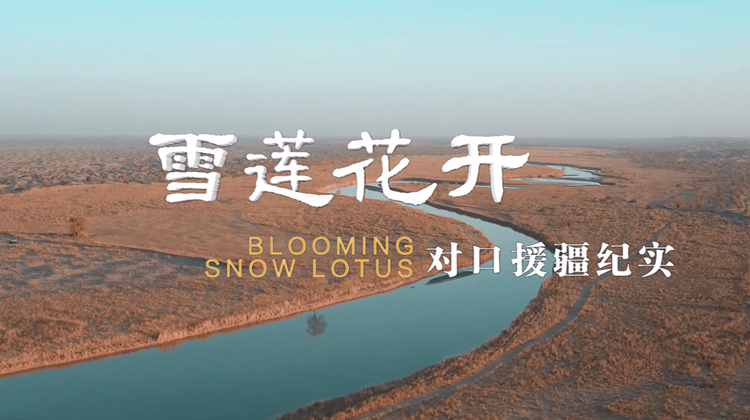 雪莲花开——对口援疆纪实