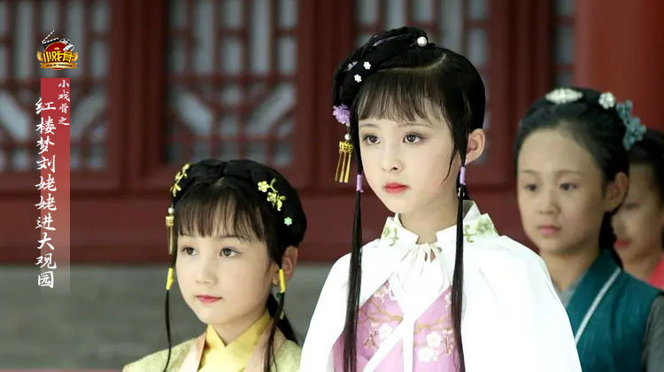 小戏骨之红楼梦刘姥姥进大观园