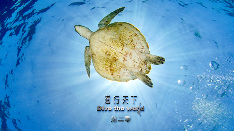 潜行天下2