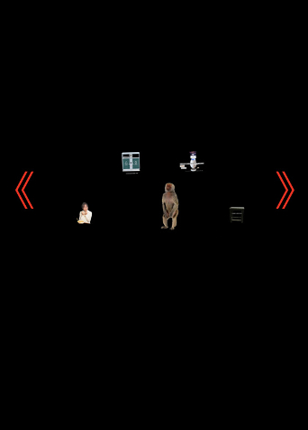 ﾟoﾟ
